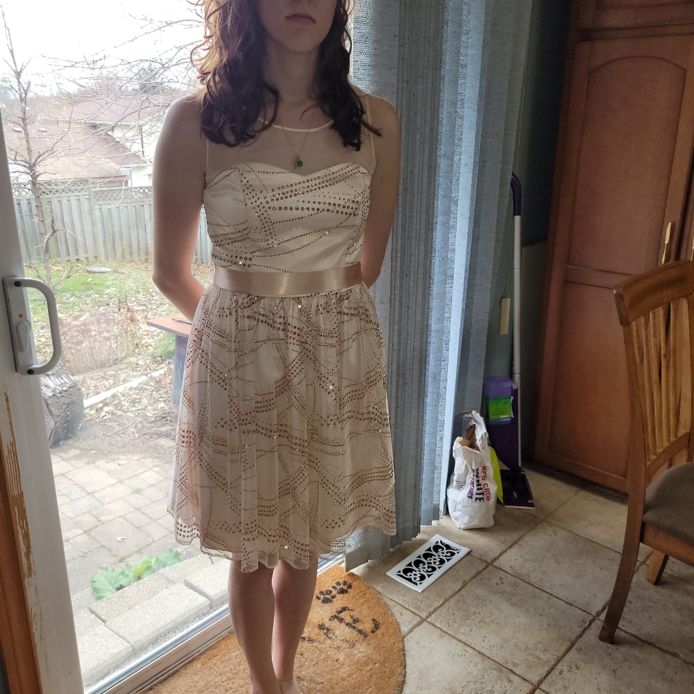 Rose Gold Le Chateau Party Dress Size S